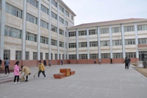 学习雷锋精神，弘扬时代新风——畜牧系青年志愿者在行动