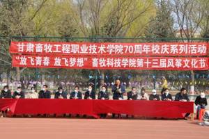 “放飞青春，放飞梦想”