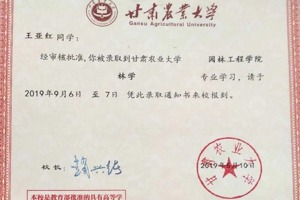 漫漫升本路，请为梦想继续坚持