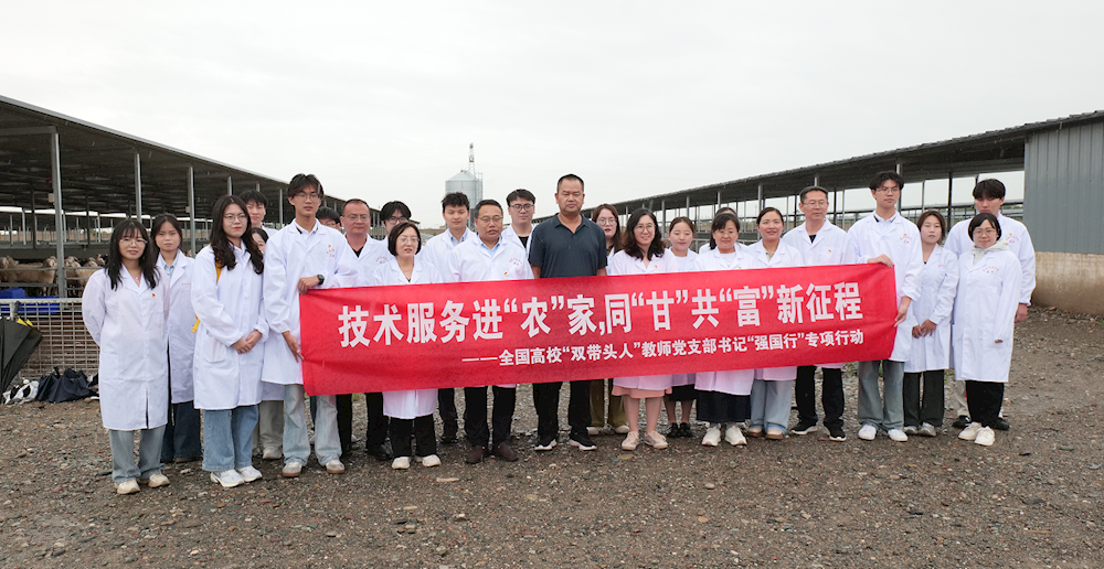 14515ebe3c824309bd20a9aea6fc41c3.png 14515ebe3c824309bd20a9aea6fc41c3.png