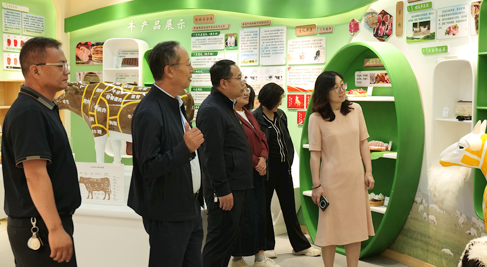 529de3d217c44fb5964fef3af14576dc.png 529de3d217c44fb5964fef3af14576dc.png