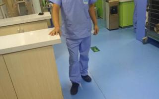 付彩平，2017年毕业于畜牧专业（特种动物养殖方向），北京宝来福动物医院宠物美容师，月收入5500元——6500元。