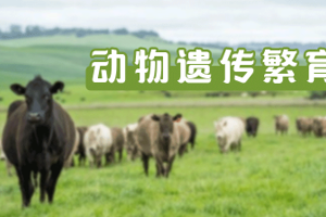 《动物遗传繁育》省级精品在线课程